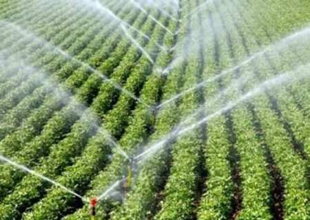 مدیریت علمی آب راه نجات کشاورزی رومشکان