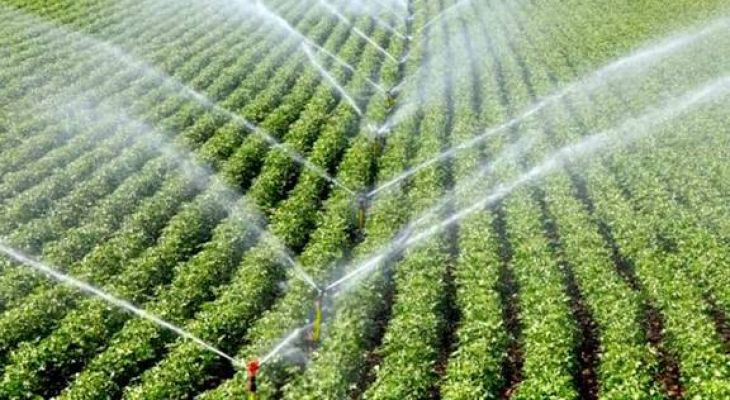 مدیریت علمی آب راه نجات کشاورزی رومشکان