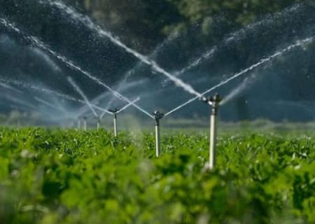 پروژه ۵۰۰ هکتاری چم‌چالگه وارد فاز بهره‌برداری شد