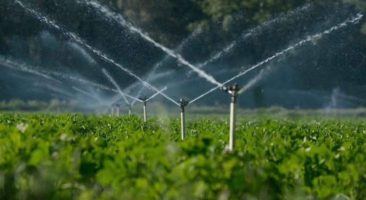 پروژه ۵۰۰ هکتاری چمچالگه وارد فاز بهرهبرداری شد