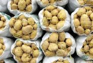 ۷۰ تُن سیب‌زمینی در رومشکان توزیع می‌شود