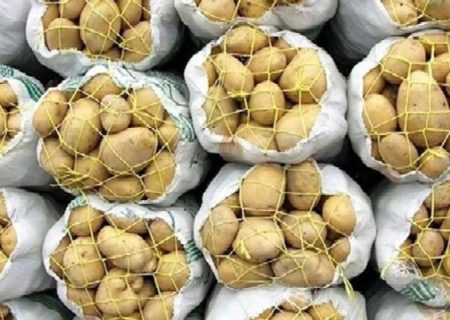 ۷۰ تُن سیب‌زمینی در رومشکان توزیع می‌شود