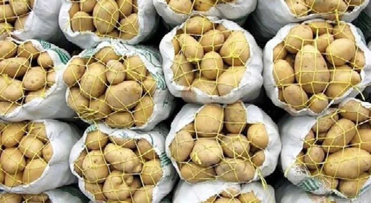 ۷۰ تُن سیب‌زمینی در رومشکان توزیع می‌شود