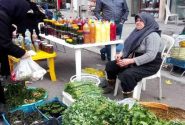 ۱۹ روستا بازار در لرستان راه‌اندازی می‌شود