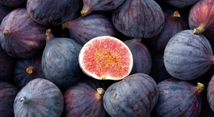 پیش‌بینی برداشت ۵۰هزار تن انجیر سیاه در پلدختر