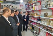 افتتاح طرح اشتغال‌زایی افراد تحت پوشش بهزیستی