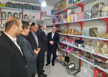 افتتاح طرح اشتغال‌زایی افراد تحت پوشش بهزیستی